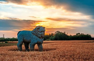 Song Dynasty Lion