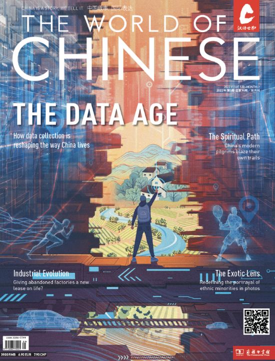 The Data Age coverr